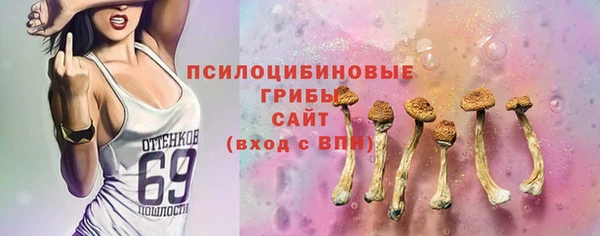 скорость Гусь-Хрустальный