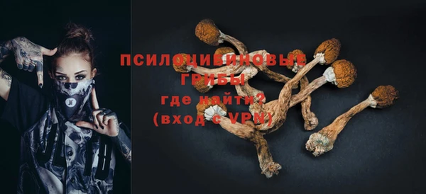 соль курить ск Гусев