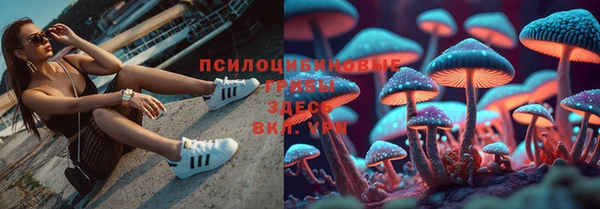 марихуана Гусиноозёрск