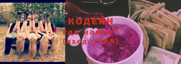 гашик Дмитриев