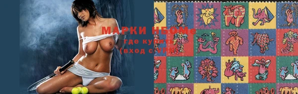 гашик Дмитриев